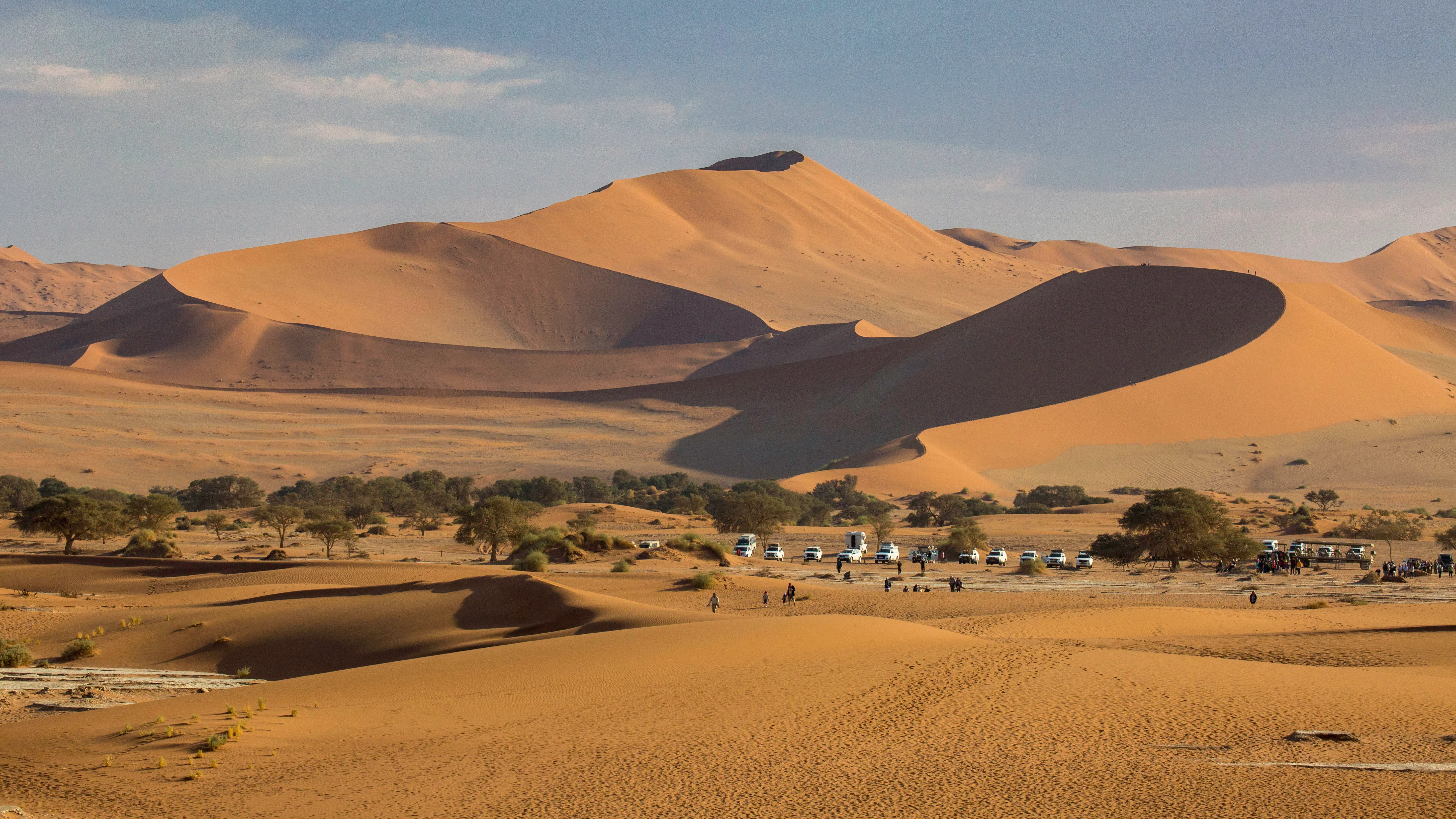 A knife-edge dune crest in low sun