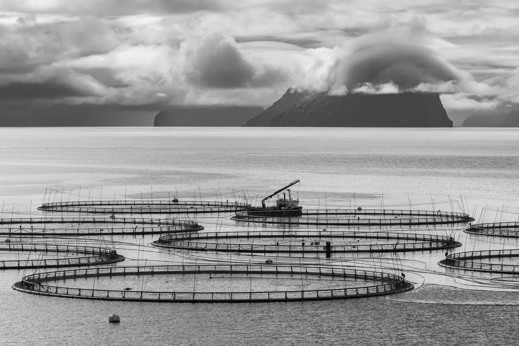 Circular salmon pens on calm water below a clouded island, in black and white