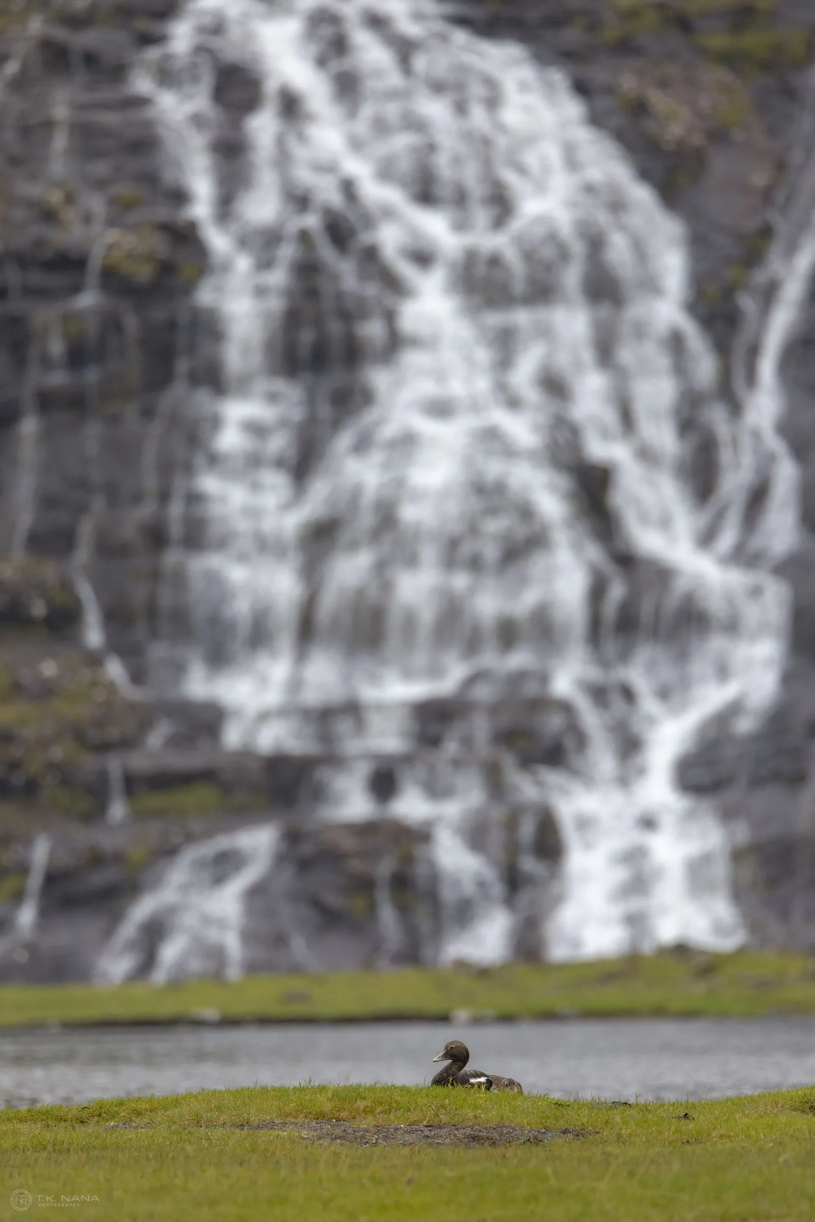 A waterfall spilling down a dark rock face